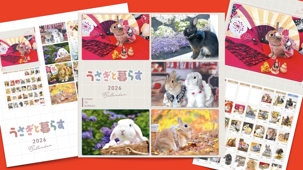 うさぎさん 予約販売】 うさぎのうーさん 2026年 卓上全面 カレンダー